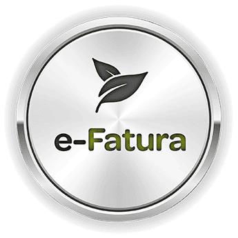 E-Fatura